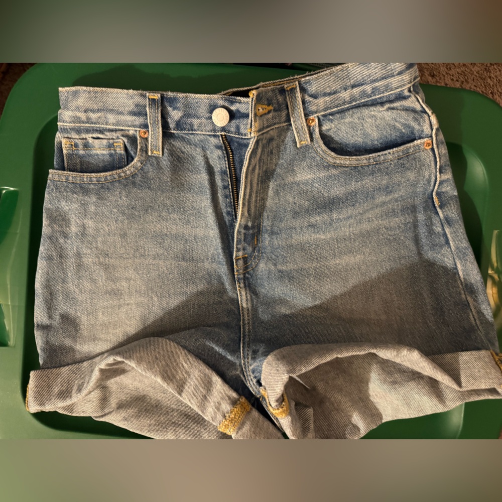 Urban Outfitters BDG shorts